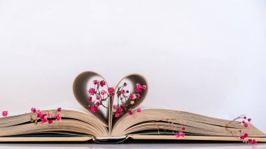 Kitap sayfaları kalp ve pembe çiçek şeklinde katlanmış. Hafif odaklanma, kasıtlı olarak hafif bulanıklaşma. Narin pembe çingene çiçekleri. Yavaş yaşam konsepti. Doğayla birlik. Sevgi. Eğitim edebiyatı