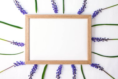 Kartpostal düzeni. Düz yerde, üst tarafta. Mavi sümbüller kare şeklinde ve metin için uzayı kopyalayın. Tatil için tebrik kartı. Üzüm Sümlü Muscari. Anneler günü için bahar kartı, dünya günü, uluslararası hemşire günü.