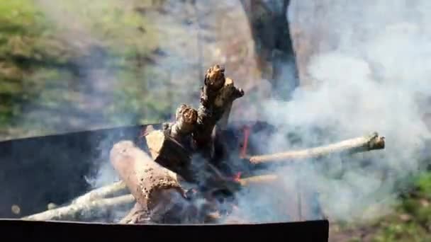 4k火の木は火鉢に燃える。庭のバーベキュー。スモーキーなたき火。グリルの火 — ストック動画