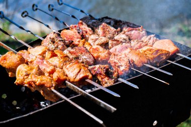 Et kömürde kızartılır. Kamp, ızgarada barbekü. Seçici odaklanma. Mangal kömürlü et ve açık hava aktiviteleri ve sağlıklı beslenme.