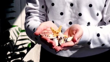 Yavaş hareket eden kadın elleri deniz kabuklarını gösteriyor, tatilden dönen deniz yıldızları. Tatil kavramı, yaz tatili. Turist güzel deniz kabukları topluyor