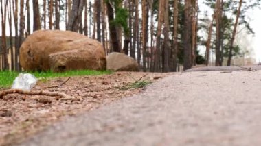 4k Genç Gönüllü parkta çöpleri karıştırıyor. Plastik şişeler, orman. Çimlerden plastik şişe toplayın. Ekolojik sorun, plastik geri dönüşümü, çevre plastik kirliliği. Doğayı düşün..