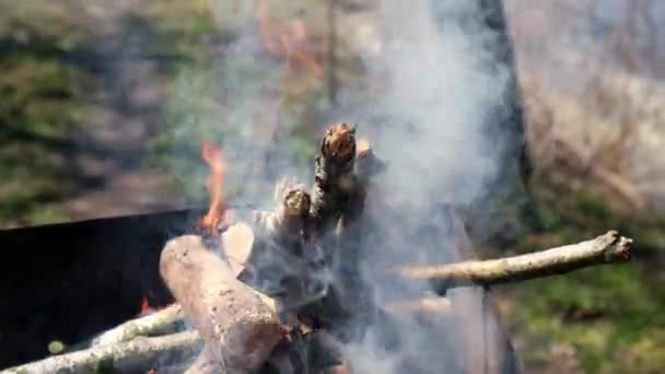 4k Firewood burning on a brazier. BBQ on the garden. Smoky bonfire. Fire for grill — Stock Video
