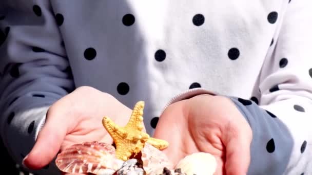 Mãos femininas de câmera lenta mostrando conchas do mar, estrela do mar de férias. Conceito de férias, férias de verão. Turista coletando belas conchas — Vídeo de Stock