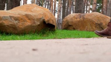 Tanınmayacak kadar kötü biri ormandaki çimlere koruyucu yüz maskesi fırlatıyor. Kişisel koruyucu ekipman PPE kullanılmış. Salgından sonra plastik kirliliği