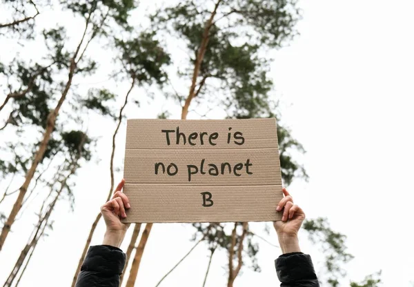 Manos Femeninas Sosteniendo Cartón Con Texto Hay Planeta Aire Libre — Foto de Stock