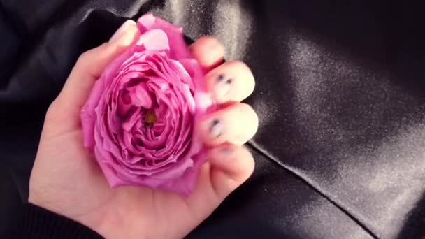 Palabra AMOR en las uñas manicura celebrar Rosa flor en tela de seda negro. Mínimo plano naturaleza laica. Mano femenina. Amor. — Vídeo de stock