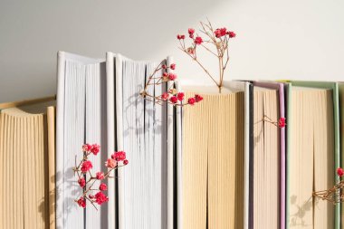 Bebek nefesli eski kitaplar yığını. Samimi bir kitap. Narin pembe çingene çiçekleri. Yavaş yaşam konsepti. Doğayla birlik. Eğitim edebiyatı. Seçici odak.