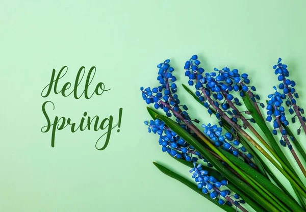 Hello Spring Układ Pocztówki Wiosna Współczesna Martwa Natura Niebieskie Kwiaty — Zdjęcie stockowe