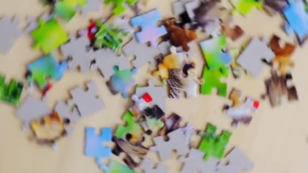 Tempo libero in famiglia. Mani femminili assemblaggio puzzle. Stranamente sagomato ad incastro e mosaico pezzi di puzzle. Puzzle completamente ad incastro. — Video Stock