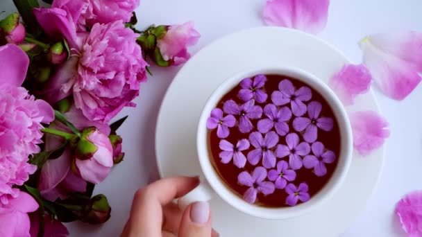 4k Mise en page créative avec des pivoines roses fleurs. Main féminine tenant une tasse de thé sur une table lumineuse. Printemps Saint-Valentin saisonnier, femme, mère, 8 Mars vacances, petit déjeuner romantique. Blogueur élégant. — Video