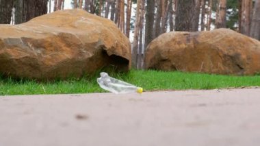 4k Genç Gönüllü parkta çöpleri karıştırıyor. Plastik şişeler, orman. Çimlerden plastik şişe toplayın. Ekolojik sorun, plastik geri dönüşümü, çevre plastik kirliliği. Doğayı düşün..