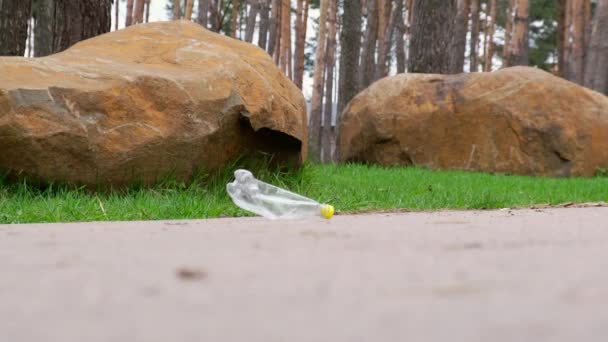 4k Mladý dobrovolník sbírá odpadky Plastové láhve v parku, les. Sbírejte plastové láhve z trávníku. Ekologický problém, recyklace plastů, znečištění životního prostředí plasty. Péče o přírodu. — Stock video