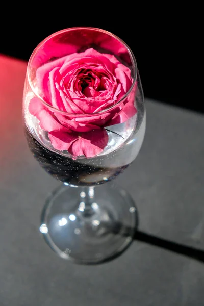 Ποτήρι Κρασιού Γεμάτο Ροζ Λουλούδι Petalson Τραπέζι Μαύρο Ελάχιστη Σύγχρονη — Φωτογραφία Αρχείου