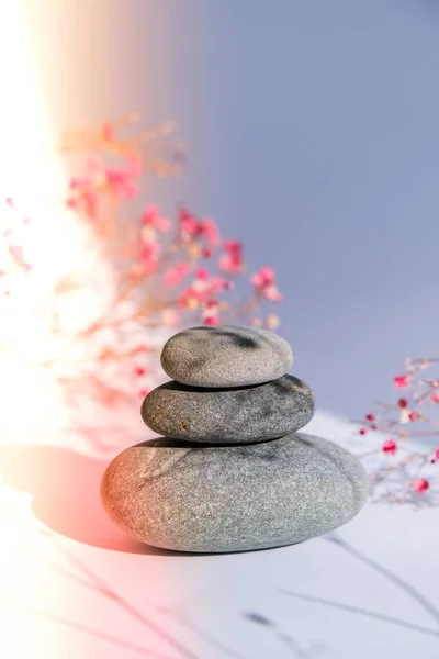 Stack of basalt stones on white background. Trendy shadows. Gypsophila or baby\'s breath flowers. Summer spring concept Beautiful pink flowers. natural medicine