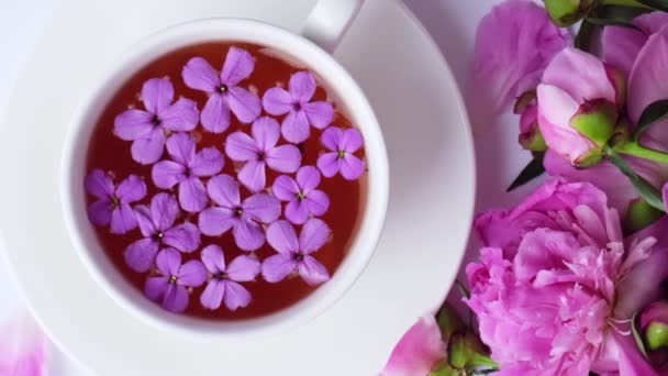 Yavaş çekimde rüzgar pembe şakayık çiçekleri ve parlak masada bir fincan çayı üflüyor. Bahar mevsimi sevgililer günü, kadın, anne, 8 Mart bayramı, romantik kahvaltı. Şık bir blog yazarı. Tebrik kartı — Stok video
