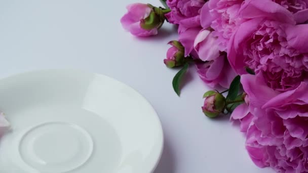 4k Layout creativo con fiori di peonie rosa. Tazza di tè femminile in mano su un tavolo luminoso. Primavera Stagionale San Valentino, donna, madre, 8 marzo vacanza, colazione romantica. blogger alla moda. — Video Stock