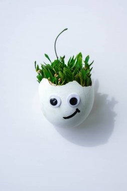 Taze mikro yeşiller. Mikro yeşil roka ve tereler beyaz yumurta kabuğunda komik yüzlerle yetişir. Filizler. Plastiksiz tohumlar. Evdeki bahçıvanlıkta mikroçim yetiştiriyorum. Gezegen Eko 'yu kurtar. Paskalya Asgari Konsepti.