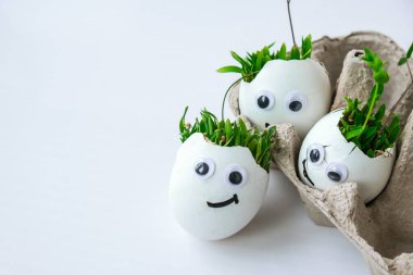 Taze mikro yeşiller. Mikro yeşil roka ve tereler beyaz yumurta kabuğunda komik yüzlerle yetişir. Filizler. Plastiksiz tohumlar. Evdeki bahçıvanlıkta mikroçim yetiştiriyorum. Gezegen Eko 'yu kurtar. Paskalya Asgari Konsepti.