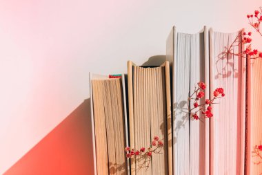 Bebek nefesli eski kitaplar yığını. Samimi bir kitap. Narin pembe çingene çiçekleri. Yavaş yaşam konsepti. Doğayla birlik. Eğitim edebiyatı. Seçici odak.