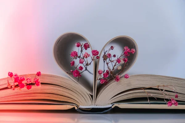 Könyv Oldalak Hajtogatva Egy Szív Rózsaszín Virág Lágy Fókusz Szándékos — Stock Fotó
