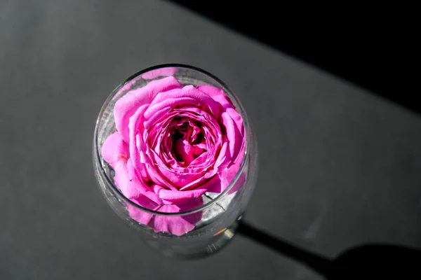酒杯子里塞满了粉红色的花瓣和黑色的桌子 最小的现代静谧生活 情人节的概念或女人的节日背景设计 创意的夏季想法 — 图库照片