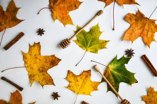 Javorové Listy Skořicovými Tyčinkami Anýzovými Hvězdami Bílém Pozadí Barevné Podzimní — Stock fotografie