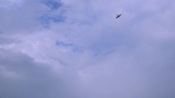 Pájaros negros oscuros en cámara lenta volando sobre el fondo azul y blanco del cielo. Golondrinas volando en el cielo azul. Animales de inmigración en ambiente natural. Concepto de libertad y vida silvestre. — Vídeos de Stock