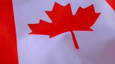 Kanada Ulusal Bayrağı el sallıyor. Kanada Bayrağı ya da Akçaağaç Yaprağı Kopyalama Alanı. Turist ya da vatanseverlik. Uluslararası ilişkiler kavramı. Bağımsızlık Günü