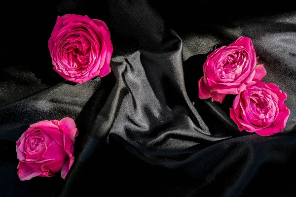 粉色玫瑰花 有黑色丝织品 情人节或母亲节背景设计 最小的平铺自然 — 图库照片