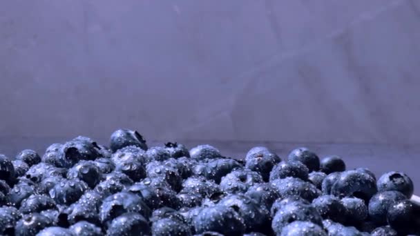 새파란 블루베리가 슬로우 모션을 회전합니다. 블루베리 산화 방지 유기농 슈퍼 푸드는 건강 한 식사와 영양을 위한 그릇의 개념이다. 수확하는 방법 — 비디오