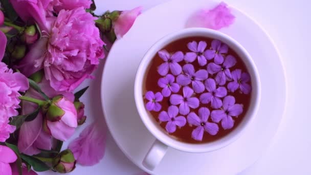 Movimento lento Vento soprando flores peônias rosa e xícara de chá na mesa brilhante. Primavera Sazonal Valentine, mulher, mãe, 8 marchar férias, romance café da manhã. Um blogueiro elegante. Cartão de saudação — Vídeo de Stock