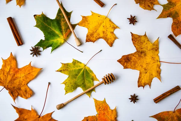 Maple Leaves Cinnamon Sticks Anise Stars White Background Colorful Autumn — Stock Photo, Image