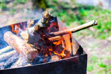 Yakacak odun bidonu yanıyor. Bahçede barbekü. Dumanlı şenlik ateşi. Izgara için ateş. Yaz tatili etkinliği