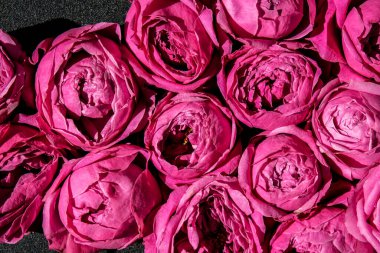 Tatil konsepti, doğum günü için bir buket gül sevgililer günü anneler günü, sabahları bir buket çiçek. Seçici odaklanma. Şakayıklar