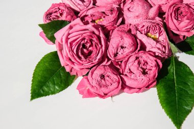 Tatil konsepti, doğum günü için bir buket gül sevgililer günü anneler günü, sabahları bir buket çiçek. Seçici odaklanma. Şakayıklar