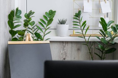 Serbest İşçi 'nin şık ofisi. Balkon işyeri. Kabartma yeşil bitkiler ve dizüstü bilgisayar. Ev işleri. Çevrimiçi öğretmenlik dersi. Blogger çalışma alanı