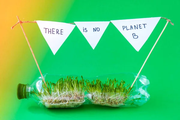 在塑料瓶里没有B型绿色植物 生态与环境对话 地球日的概念 地球的全球污染 可持续的生活方式 重复使用塑料垃圾 — 图库照片