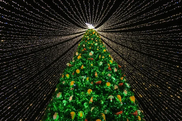 Árvore Natal Centro Cidade Kiev Ucrânia Noite Inverno Grande Árvore — Fotografia de Stock
