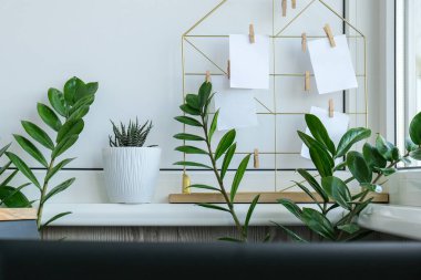 Kartlar ve posterler şebeke tahtasındaki yeşil ev bitkileriyle aynı. Uzayı kopyala Hippi ofis masa dekorasyonu. Merkez ofis masaüstü. Serbest blog yazarlarının işyeri. Yeşil ofis
