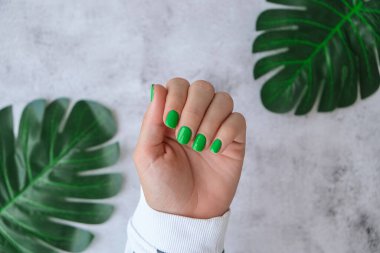 Manikürlü, yeşil tırnaklı kadın elleri. Modern moda tasarım manikürü. Jel tırnaklar. Cilt bakımı. Güzellik tedavisi. Tırnak bakımı. Sağlıklılık. Moda renkleri.