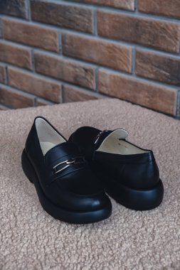 Zarif siyah deri kadın ayakkabıları sergileniyor. Parlak kaplamalı yeni siyah deri kadın ayakkabıları, stil dergileri için mükemmel ayakkabı reklamları ve modern zarif moda e-ticaret planları. Logo ürünü yok