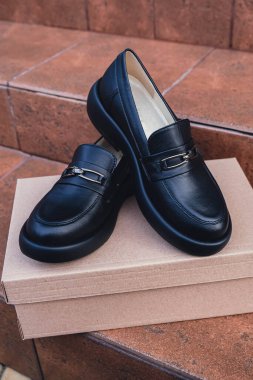 Geri dönüşümlü karton kutuda gösterilen zarif siyah deri kadın ayakkabıları. Parlak kaplamalı yeni siyah deri kadın ayakkabıları, moda dergileri için mükemmel ayakkabı reklamları ve modern zarif moda.