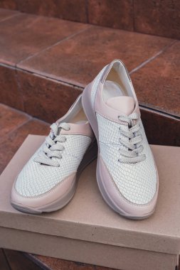 Minimalist çevre dostu beyaz spor ayakkabılar geri dönüşümlü karton kutuya yerleştirilmiş, sürdürülebilir moda kavramları için temiz tasarım. Yeni markasız bej ayakkabılar, ayakkabı modelleri ve modern ürün sergileri. Çünkü...