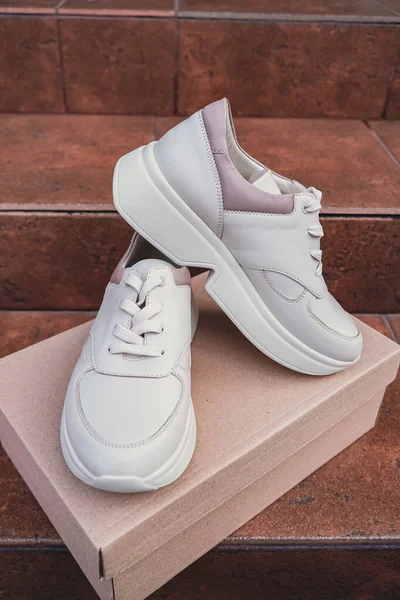 Minimalist çevre dostu beyaz spor ayakkabılar geri dönüşümlü karton kutuya yerleştirilmiş, sürdürülebilir moda kavramları için temiz tasarım. Yeni markasız bej ayakkabılar, ayakkabı modelleri ve modern ürün sergileri. Çünkü...