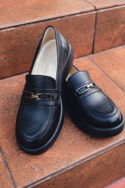 Zarif siyah deri kadın ayakkabıları sergileniyor. Parlak kaplamalı yeni siyah deri kadın ayakkabıları, stil dergileri için mükemmel ayakkabı reklamları ve modern zarif moda e-ticaret planları. Logo ürünü yok