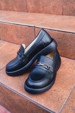 Zarif siyah deri kadın ayakkabıları sergileniyor. Parlak kaplamalı yeni siyah deri kadın ayakkabıları, stil dergileri için mükemmel ayakkabı reklamları ve modern zarif moda e-ticaret planları. Logo ürünü yok