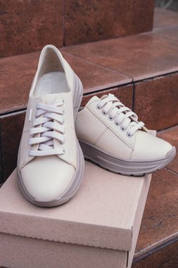 Minimalist çevre dostu beyaz spor ayakkabılar geri dönüşümlü karton kutuya yerleştirilmiş, sürdürülebilir moda kavramları için temiz tasarım. Yeni markasız bej ayakkabılar, ayakkabı modelleri ve modern ürün sergileri. Çünkü...