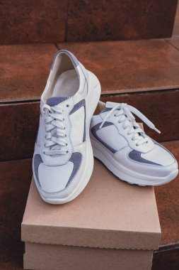 Minimalist çevre dostu beyaz spor ayakkabılar geri dönüşümlü karton kutuya yerleştirilmiş, sürdürülebilir moda kavramları için temiz tasarım. Yeni markasız beyaz spor ayakkabı modelleri ve modern ürün sergileri. Çünkü...