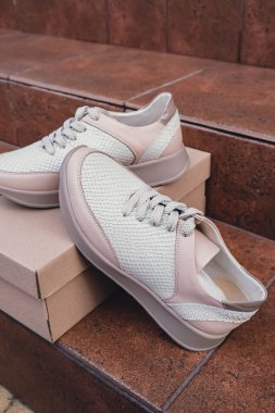 Minimalist çevre dostu beyaz spor ayakkabılar geri dönüşümlü karton kutuya yerleştirilmiş, sürdürülebilir moda kavramları için temiz tasarım. Yeni markasız bej ayakkabılar, ayakkabı modelleri ve modern ürün sergileri. Çünkü...
